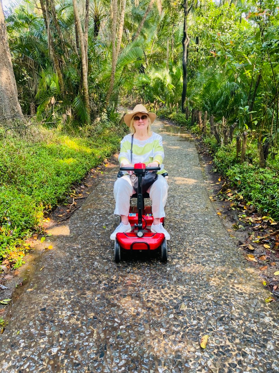 Mobile Everywhere Scooters