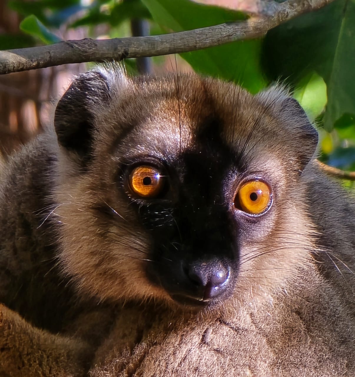 Blue Madagasikara Tours