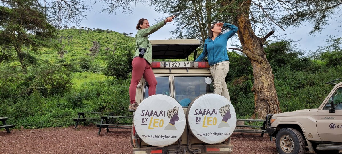 Safari By Leo