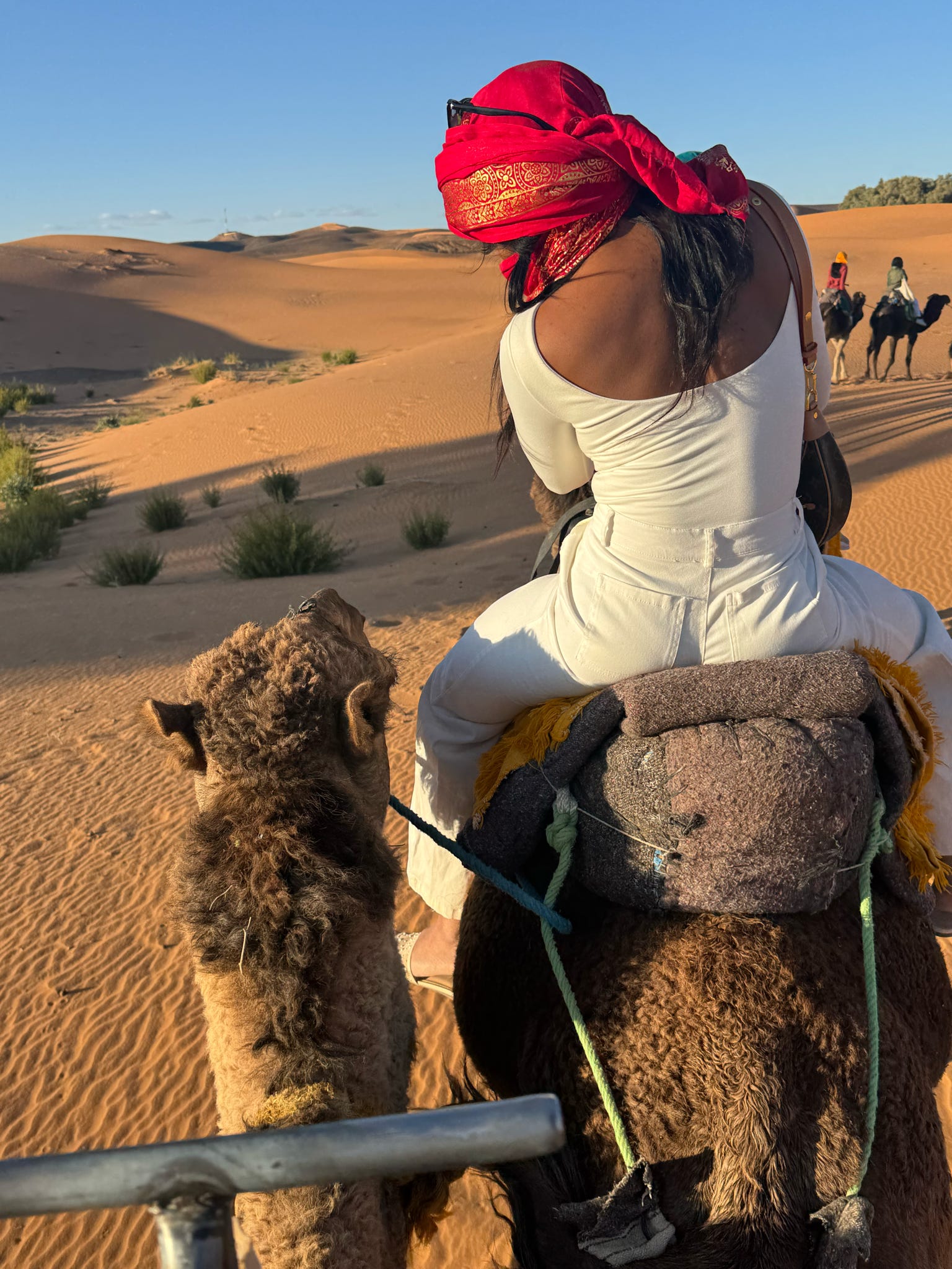 Desert Day Tours