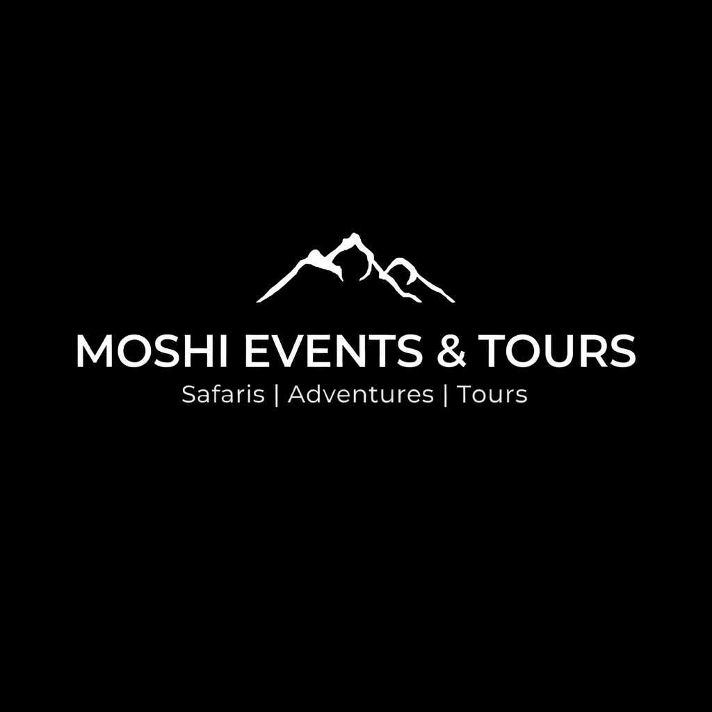 Moshi Events & Tours