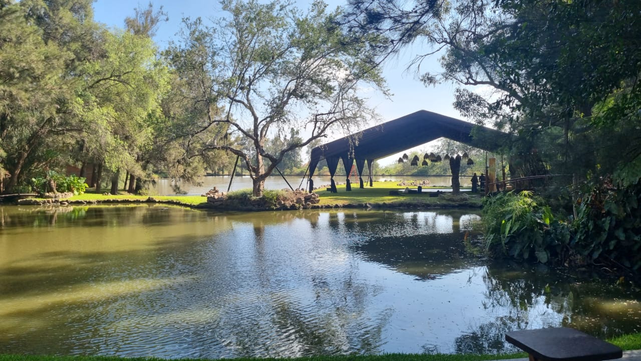 El Pinar del Chayán