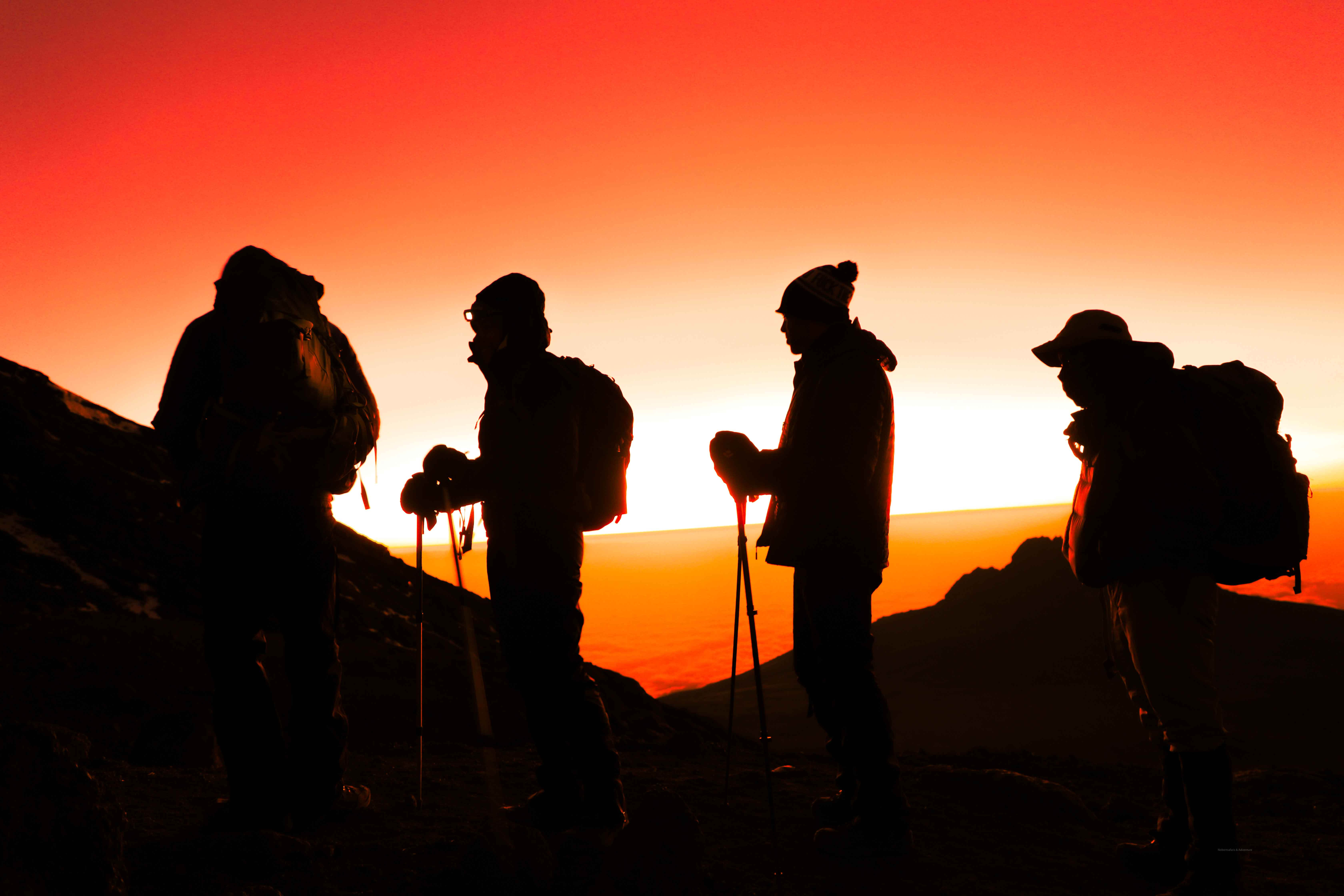 Bon Adventure Africa
