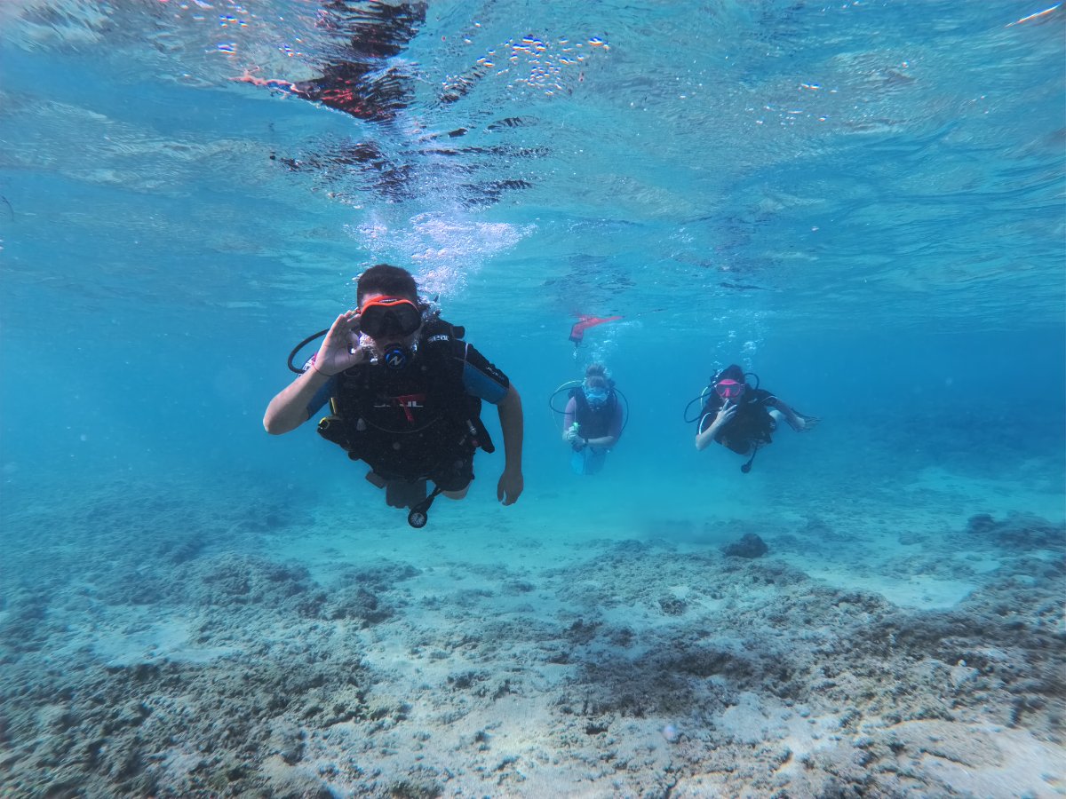 Dive Cypria