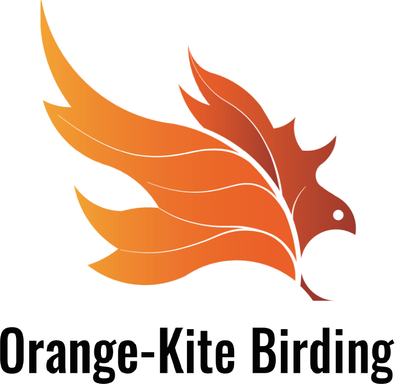 Orange-Kite Birding