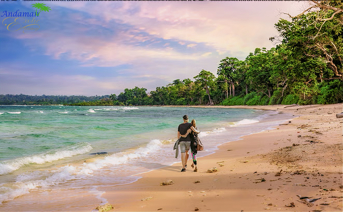 Andaman Exotic Holidays