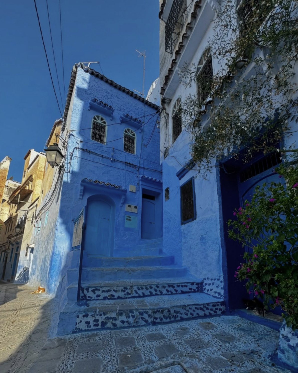 Zoubir