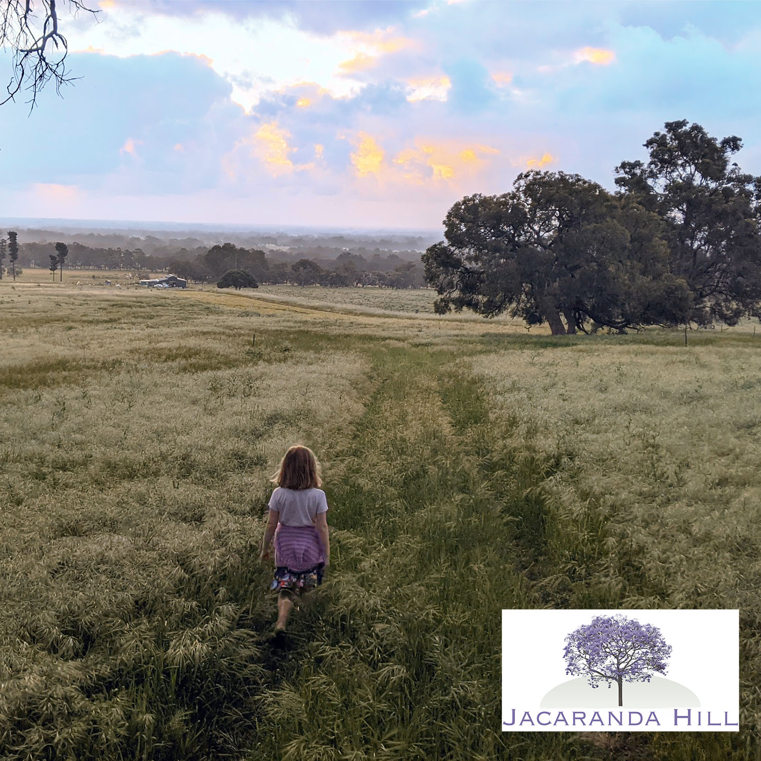 Jacaranda Hill Farm
