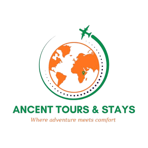 Ancent Tours