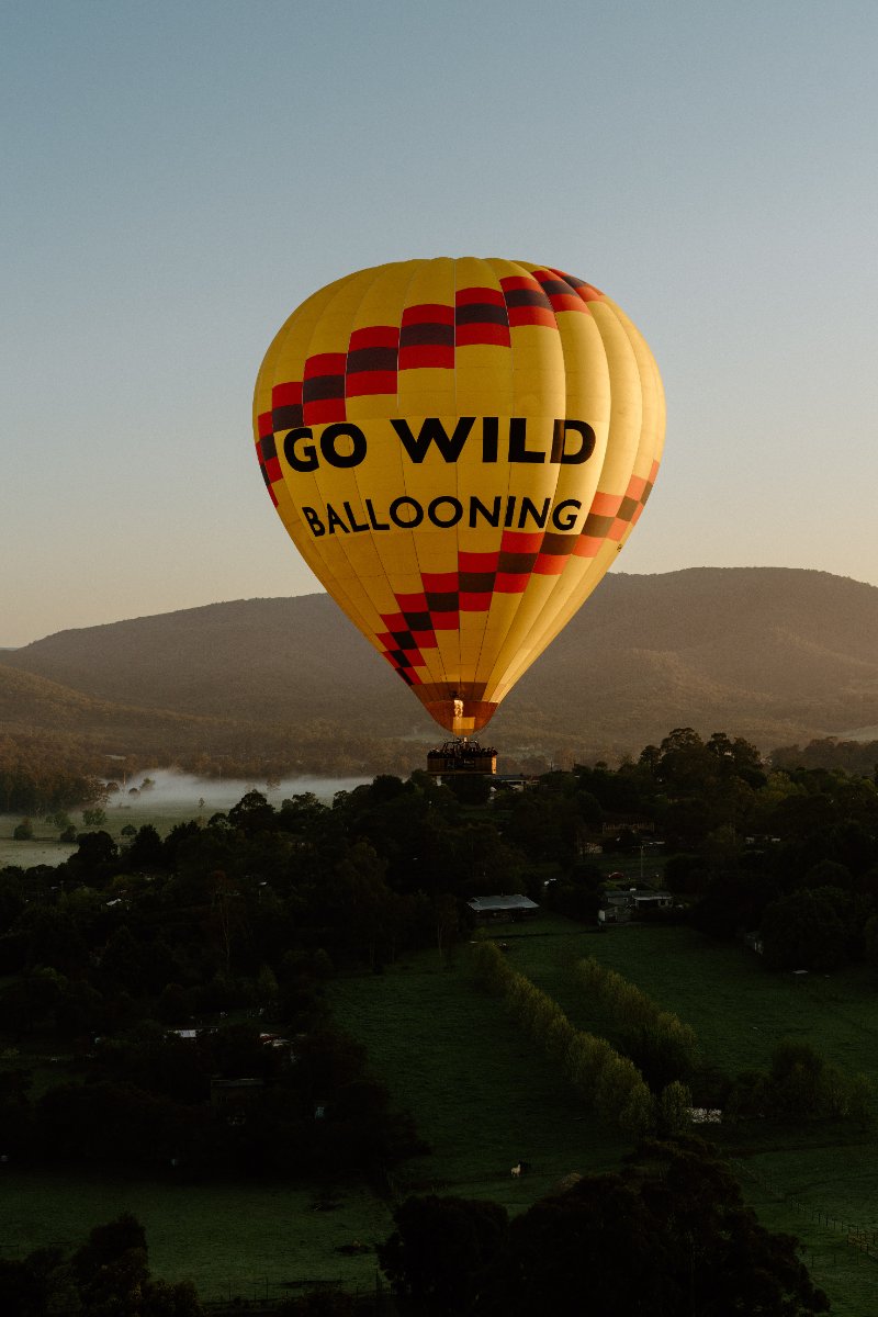 Go Wild Ballooning
