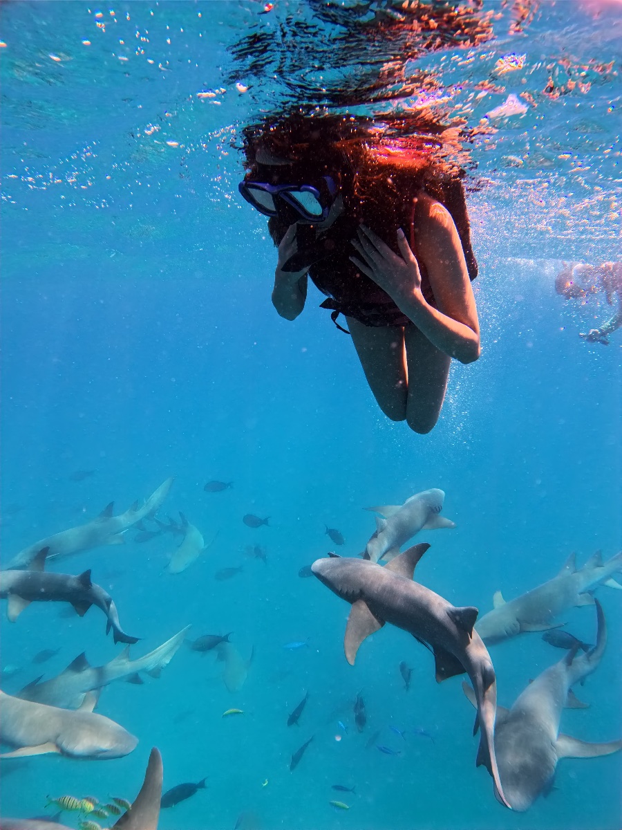 Atlantis Tours and Excursions