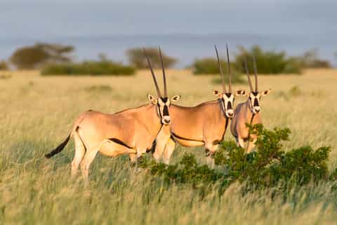 Hike in Ethiopia Tours