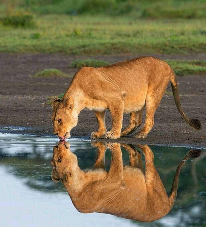 Kasaje Tours Africa