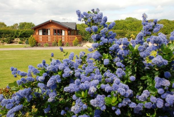 Honeybridge Caravan Park