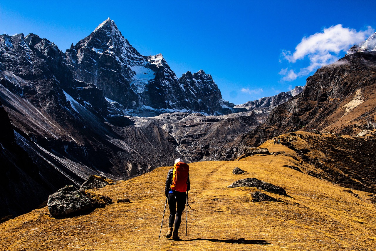 WaveUp Himalayas