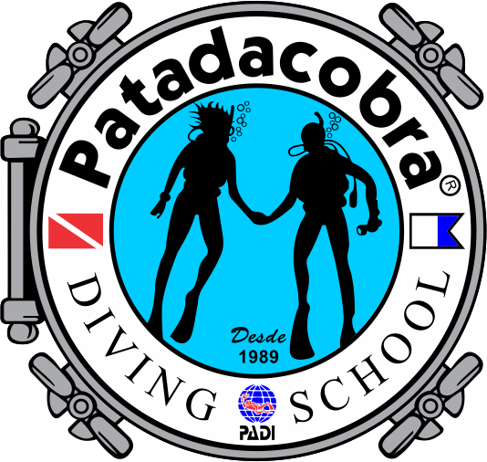 Patadacobra