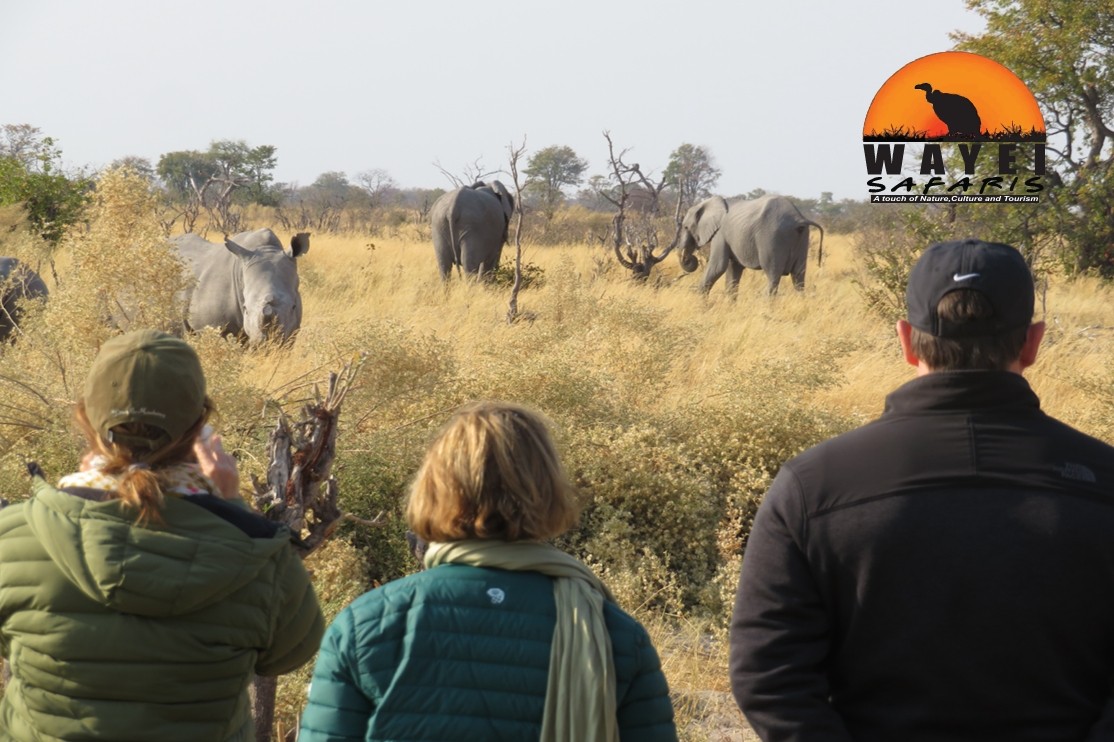 Wayei Safaris