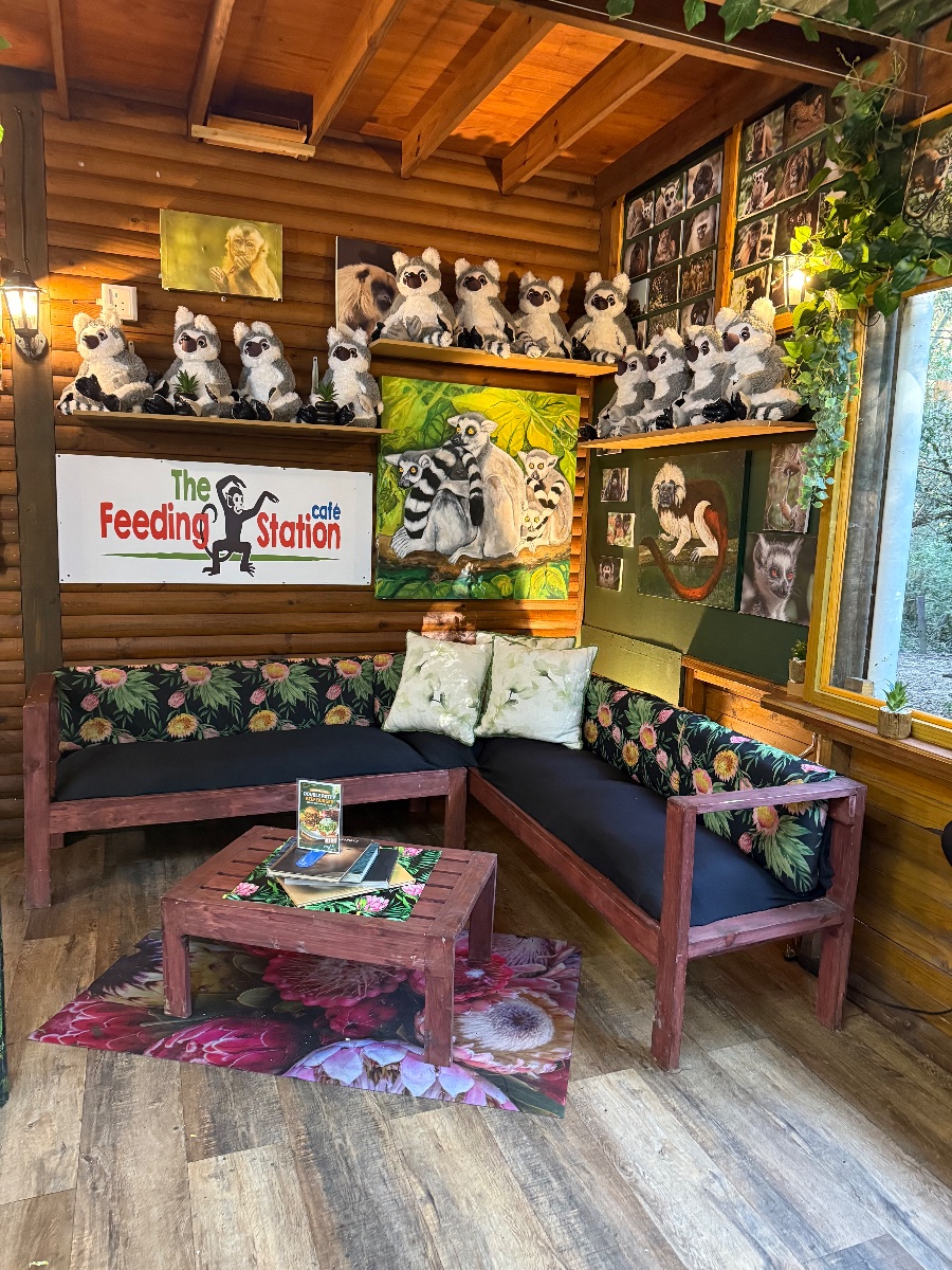 The Feeding Station Café
