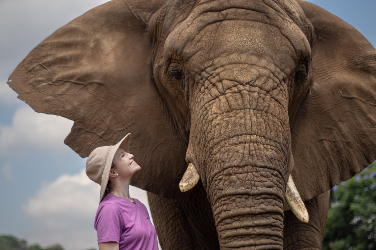 The Elephant Sanctuary