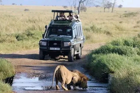 Rwanda Tourism Tours And Trave