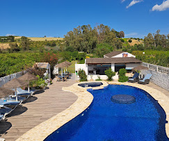 The Dragonfly Retreat