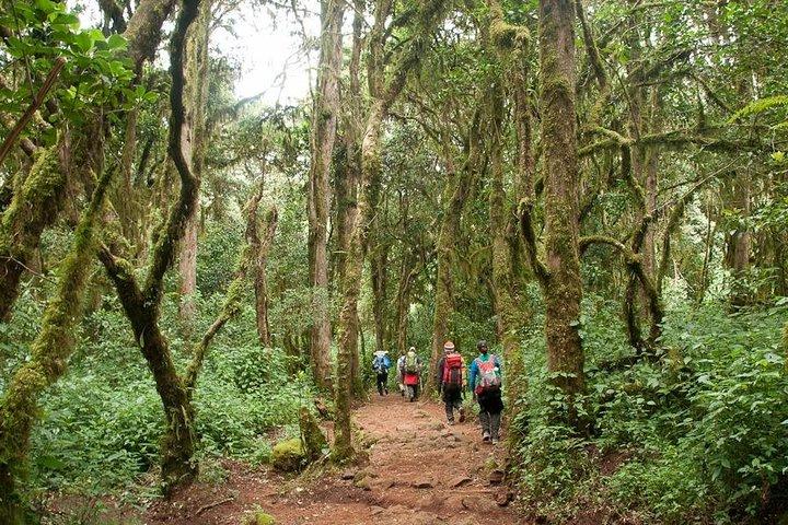 Nyankole Tours