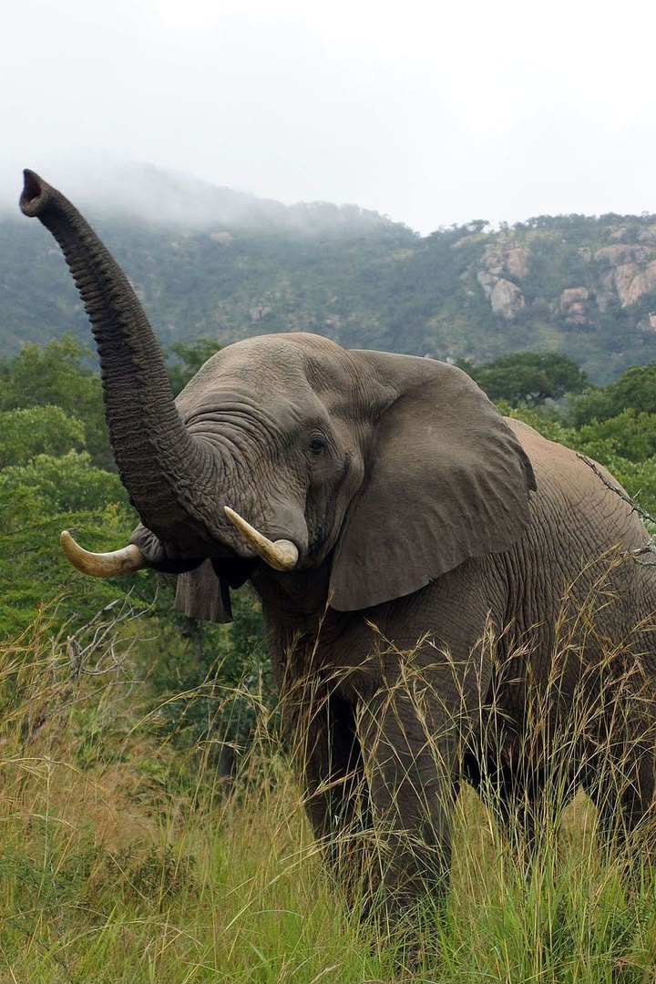TRAVELDEORWANDA LTD