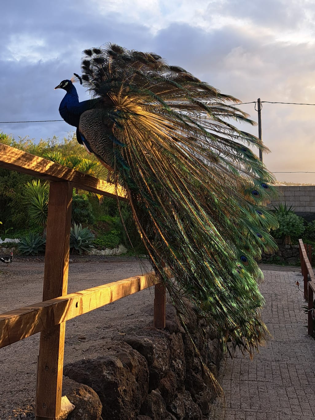 Agrocamping Invernaderito