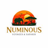 Numinous Safaris Kenya