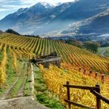 Grosjean Vins