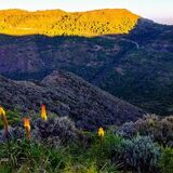 Ethiophy Tours