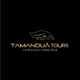 Tamandua La Fortuna Tours