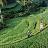 Ubud Private Day Tour