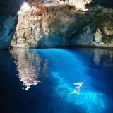 Cenotes: Cliff Jump/Rope Swing