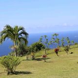 View The World Travel and Tour