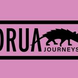 DRUA JOURNEYS