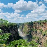 OR AFRICA PTY LTD