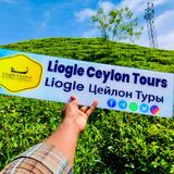Liogle Ceylon Tours
