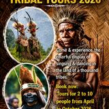 Last Frontier Tours
