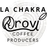 AROVI / CURLY by AROVI