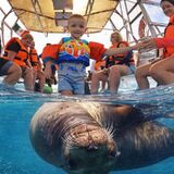 Best Cabo Tours LLC