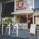 Gallus Coffee Brew