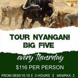 Nyanga Adventures