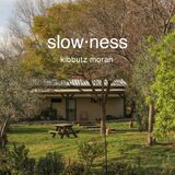 SLOWNESS
