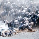 Mara LUXE Expedition Safaris
