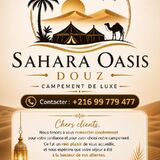 Campement Sahara Oasis Douz