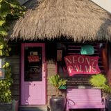 Neon Palms