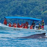 OsaMar Adventures