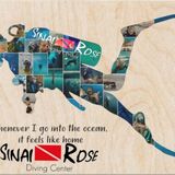 Sinai Rose Dive Center