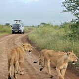 Javiva Adventures Ltd